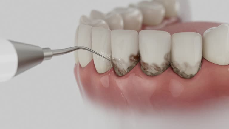 Reliable Dental contractor in Randolph County County, WV by Dentist Open Now